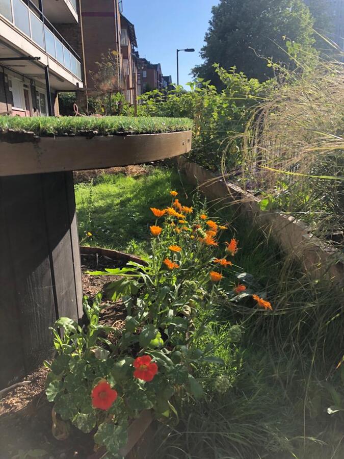 Photo from debmitchener